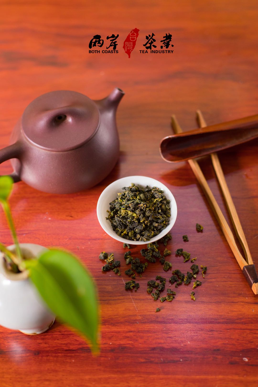 高山茶